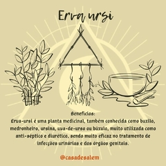 Erva Ursi - comprar online