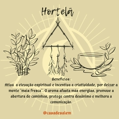 Hortelã - comprar online