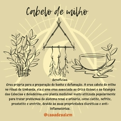 Cabelo de Milho - comprar online