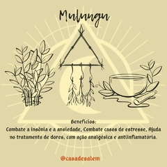 Mulungu - comprar online
