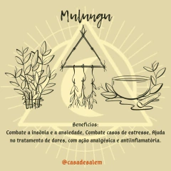 Mulungu - comprar online
