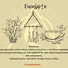 Ervas para chás / banhos / defumações - Casa De Salem