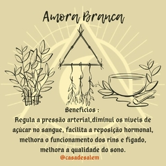 Amora Branca - comprar online