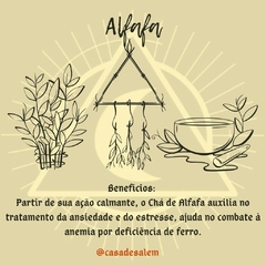 Alfafa - comprar online