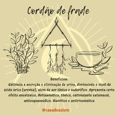 Cordão de Frade - comprar online