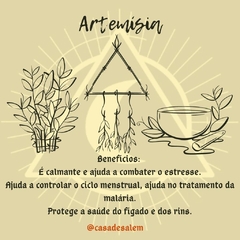 Artemísia - comprar online