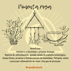 Pimenta Rosa - comprar online