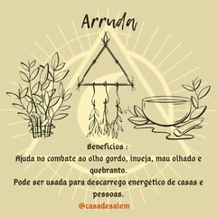 Ervas para chás / banhos / defumações - comprar online