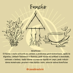 Ervas para chás / banhos / defumações - Casa De Salem