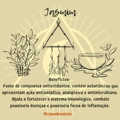 Jasmim - comprar online
