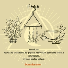 Poejo - comprar online