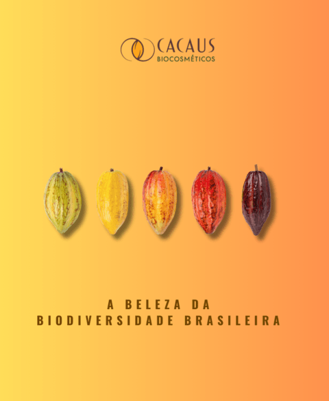 Carrossel 1