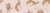 Imagem do banner rotativo Casa VF