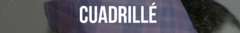 Banner de la categoría Cuadrillé