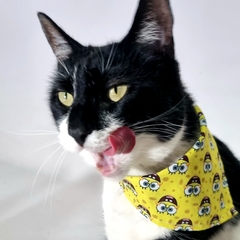 Bandana BOB ESPONJA amarilla - WILO