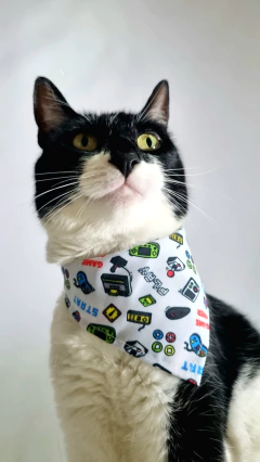 Bandana GAMER