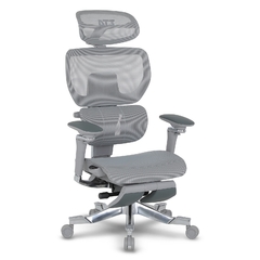 Cadeira de Escritório Ergonômica DT3 ErgoOne / Grey
