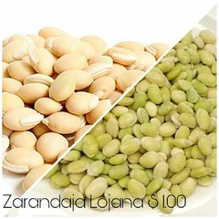 Zarandaja Loja