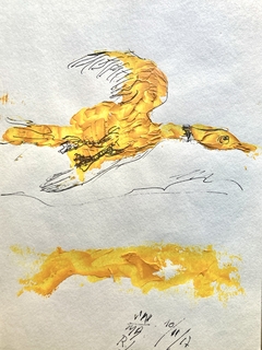 Pato en vuelo