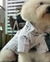 Camisa Teddy en internet