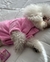 CAMPERA ALICE - tienda online