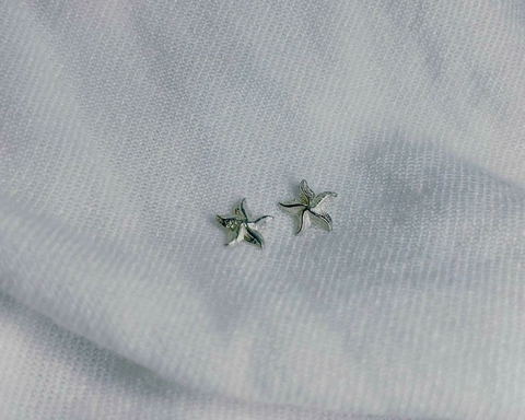 Brinco Estrela do Mar S33