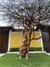 Vestido Longo Enflorado - comprar online