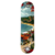 Shape Maple Lyons Samuel Pires 8.1 - comprar online