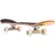 Skate Montado Completo HSC Hondar - comprar online