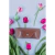 Case Porta Óculos - comprar online