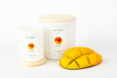 Vela Manga 50g - comprar online