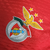 Camisa Benfica I 23/24 - Jogador Adidas Masculina - Vermelha - comprar online