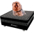 Colchãozinho Box Pet + 1 Lençol Impermeável | Cães e Gatos | 60 x 60 x 24cm
