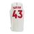 Camiseta Regata NBA Toronto Raptors 23/24 - Masculina Nike - Branca - buy online
