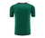 Camisa Paris Saint-Germain Treino 24/25 - Torcedor Nike Masculina - Verde com detalhes em vinho - buy online