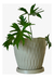 Vaso Plantas Infinity 28x28 C/ Prato Coletor - loja online
