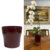 Vaso de Mesa Tipo Cachepot Pote 15 Para Orquídeas