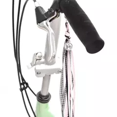 Bendición de Bicicleta