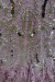 Vestido Apolo Rosa - comprar online