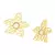 Brinco Nautilus Flor Folhado a Ouro