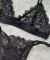 Conjunto CLAVEL en internet