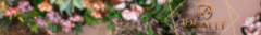 Banner da categoria Flores e Plantas 