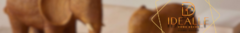 Banner da categoria Elefantes