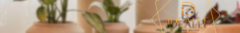 Banner da categoria Vasos