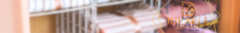 Banner da categoria ●Organização