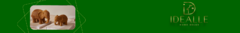 Banner da categoria Elefantes