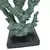 Coral Verde - Thay - Idealle Home Decor