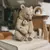 Escultura Urso e Filhote - comprar online