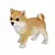 Cachorro em Resina Akita - Espressione