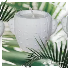 VELA CACTUS